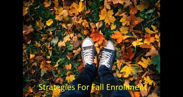 Fall Strategies Webinar cover